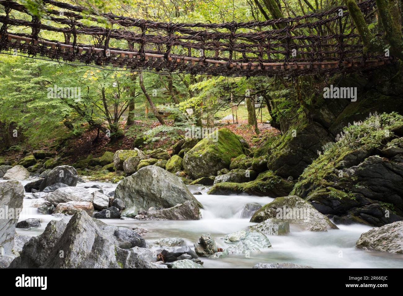 Kazura-Brücke in Oku-Iya, Shikoku Stockfoto