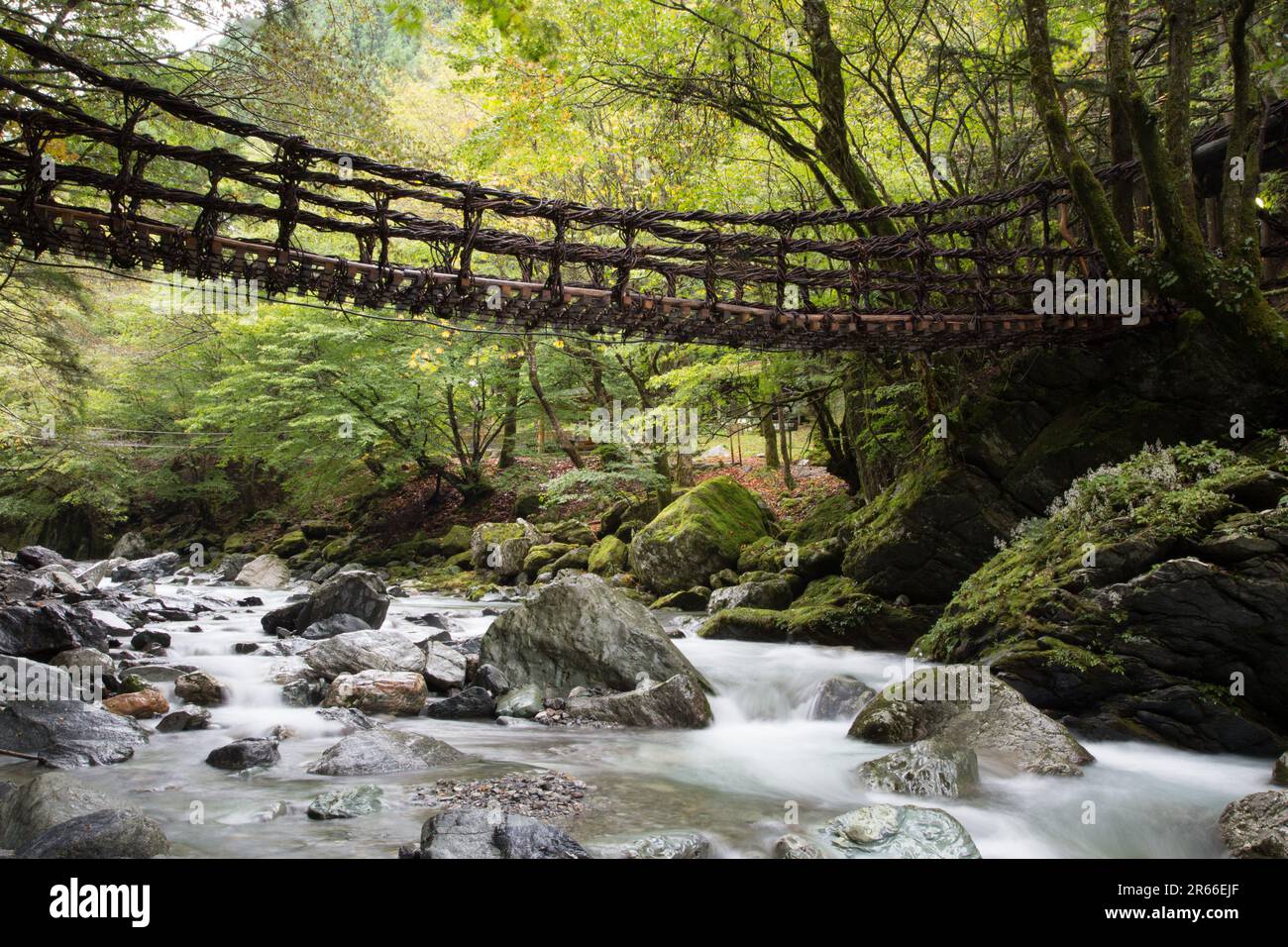 Kazura-Brücke in Oku-Iya, Shikoku Stockfoto