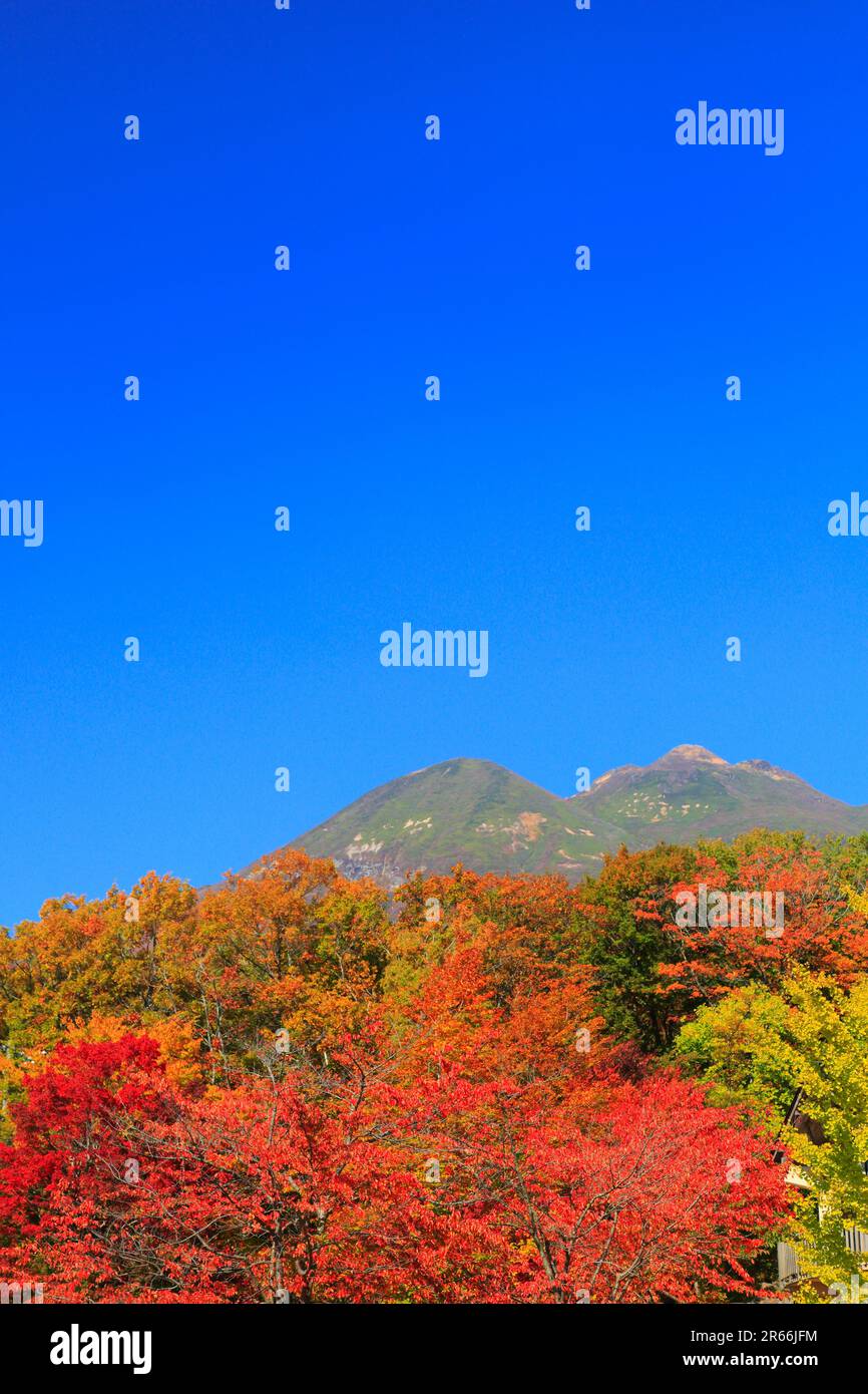 Mt. Iwaki im Herbst Stockfoto