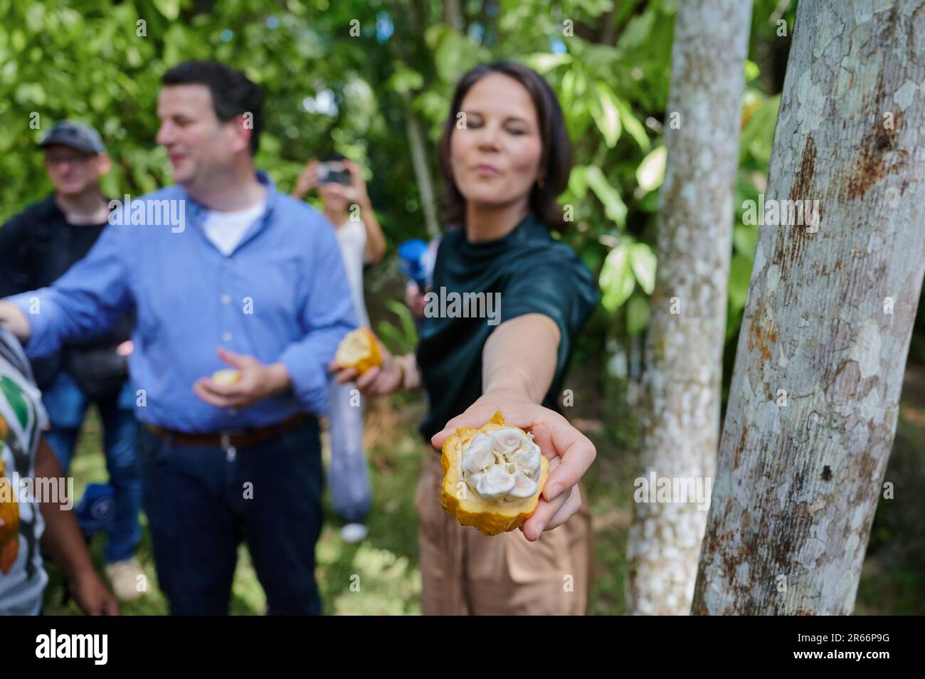 Ilha Do Combu, Brasilien. 07. Juni 2023. Annalena Baerbock (r, Bündnis 90/die Grünen), Außenministerin, gibt Journalisten eine Kakaobst, während sie selbst Fruchtfleisch verkosten. Bei dem Besuch der nordbrasilianischen Stadt Belem geht es in erster Linie um Klima- und Umweltfragen. Kredit: Annette Riedl/dpa/Alamy Live News Stockfoto