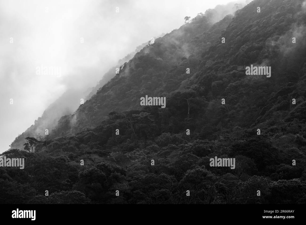 Regenwaldhügel in El Valle de Anton, Panama Stockfoto