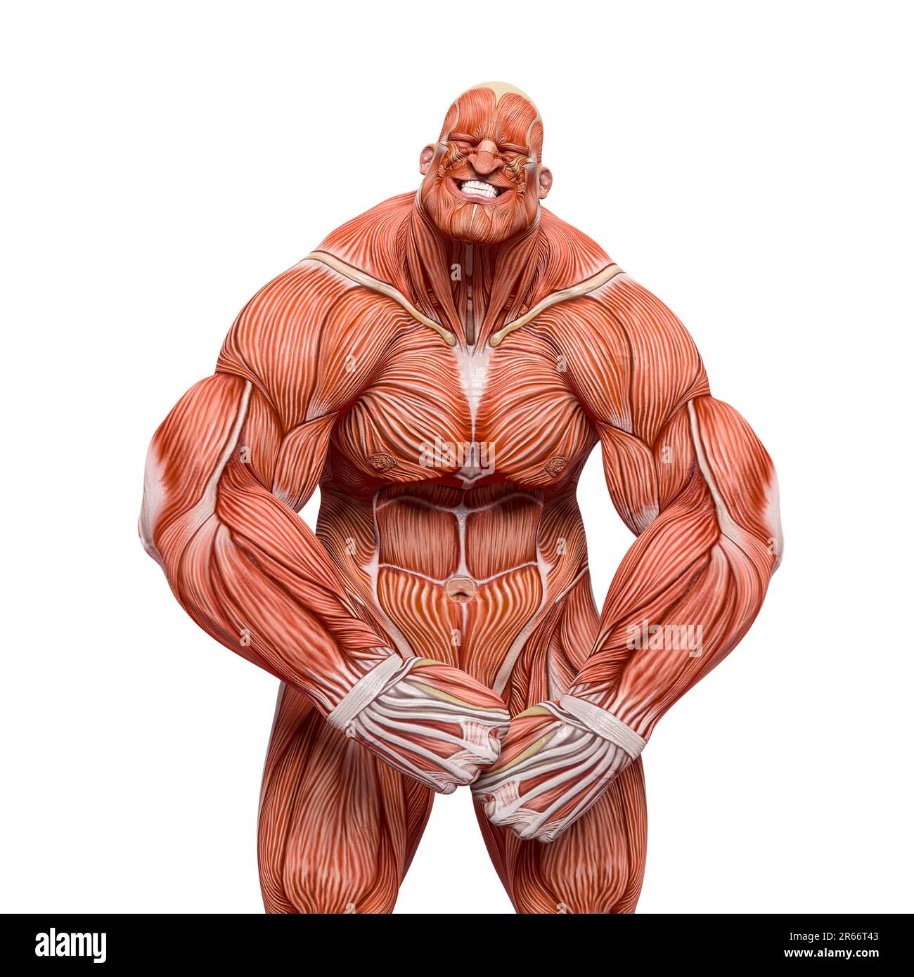 Muskelkarten von Bodybuildern sind so wütend auf weißem Hintergrund, 3D-Abbildung Stockfoto