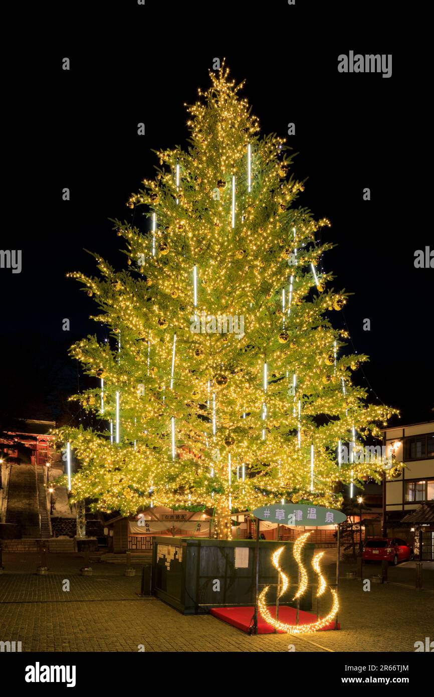 Weihnachtsbaum in Kusatsu Onsen Stockfoto