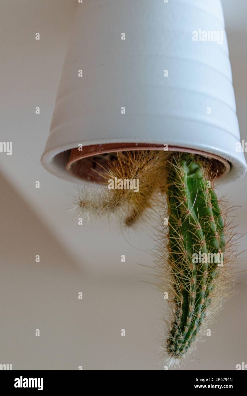 Kreativ Nummer Eins Stockfoto