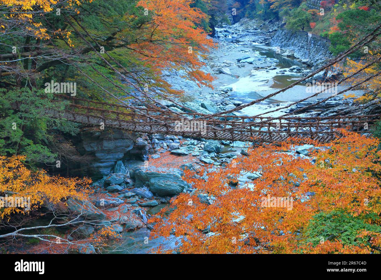 Kazura-Brücke in Iya und Herbstlaub Stockfoto