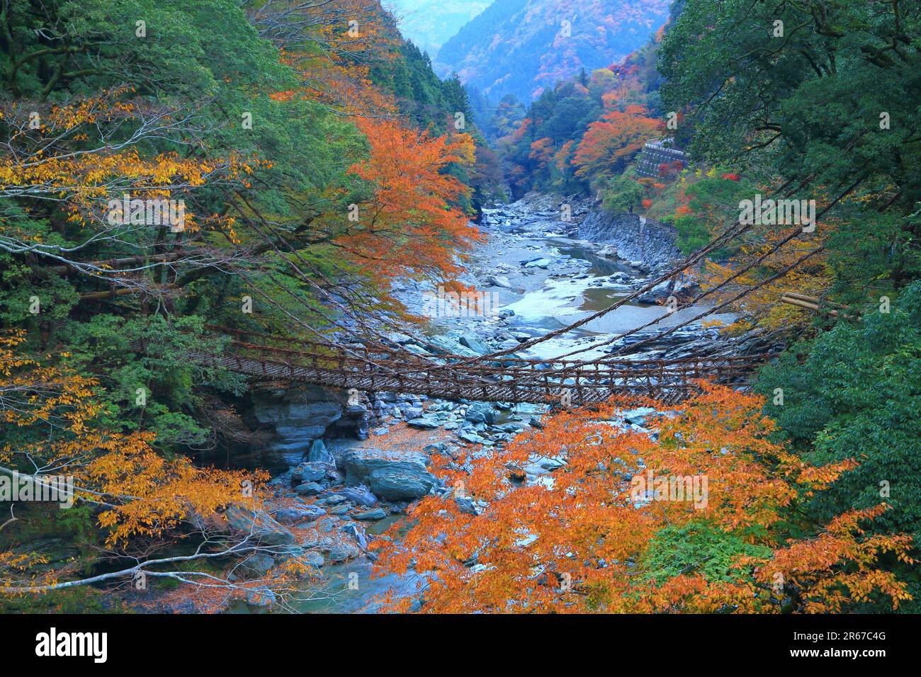 Kazura-Brücke in Iya und Herbstlaub Stockfoto