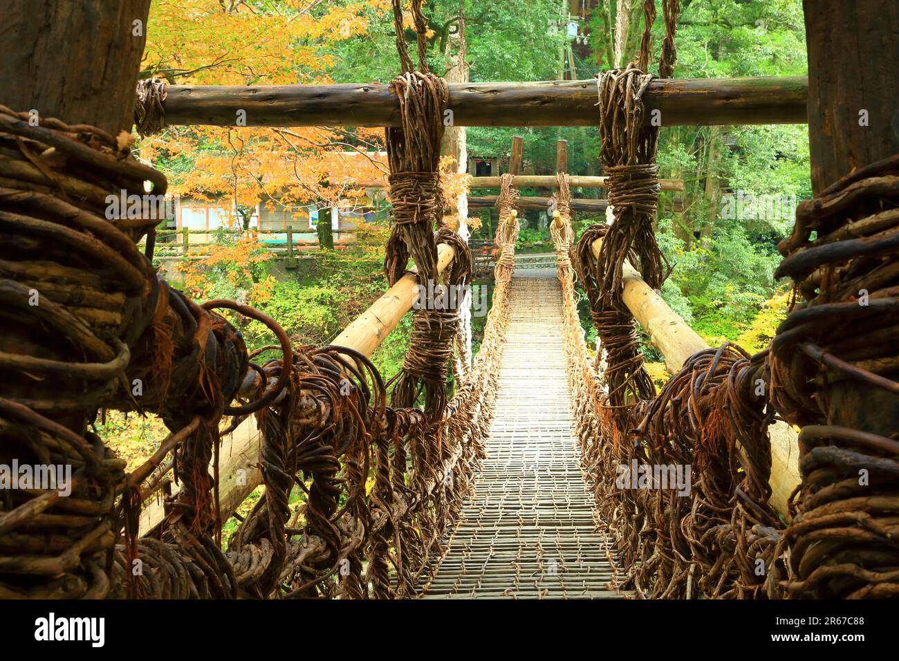 Kazura-Brücke in Iya und Herbstlaub Stockfoto