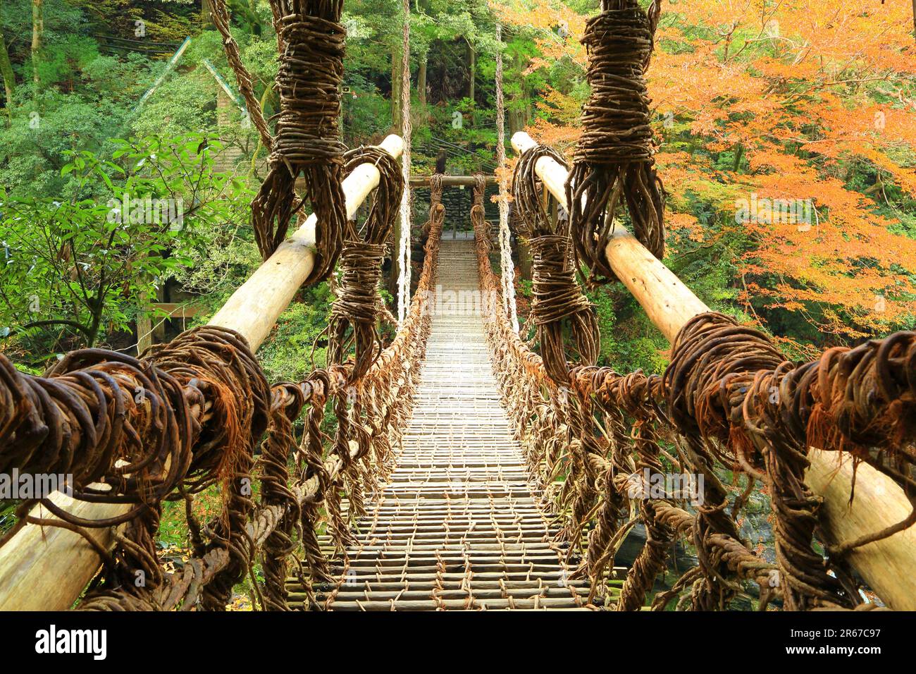 Kazura-Brücke in Iya und Herbstlaub Stockfoto