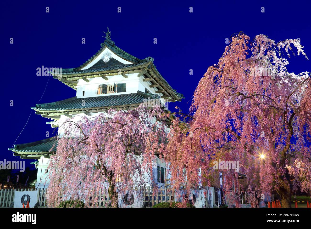 Schloss Hirosaki, Hauptturm und Kirschblüten beleuchtet Stockfoto