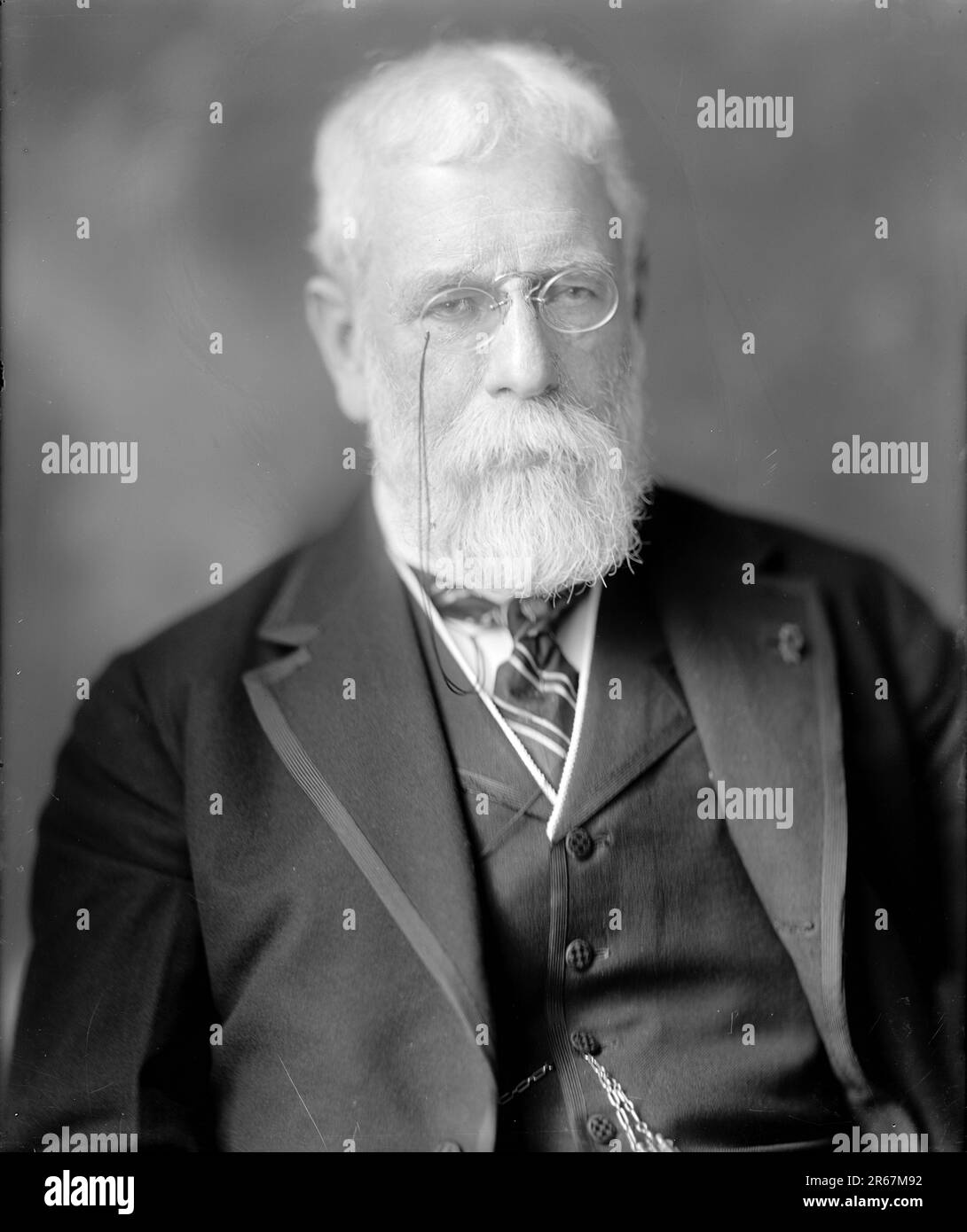Robert Underwood Johnson (1853-1937), amerikanischer Schriftsteller, Dichter und Diplomat. Stockfoto