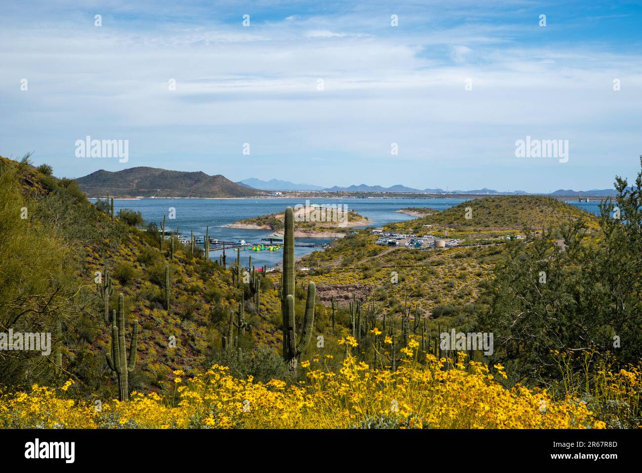 Blick auf den Lake Pleasant Regional Park in der Nähe von Phoenix, Arizona, USA an einem schönen Frühlingstag. Stockfoto