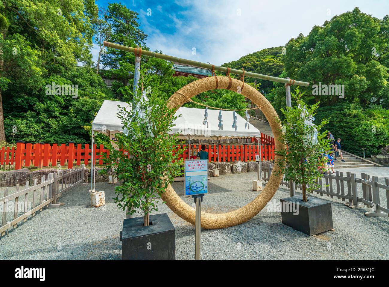 Tsuruoka-Hachimangu-Schrein und cogon-Grasring Stockfoto