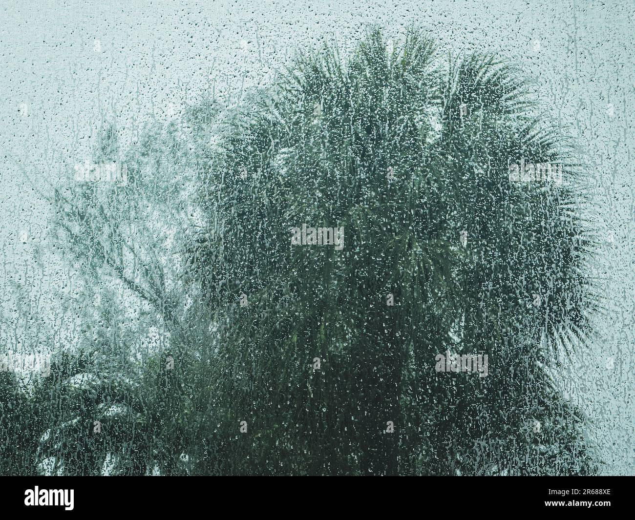 Blick auf einige Bäume durch ein Moskitonetz während einer tropischen Dusche Stockfoto