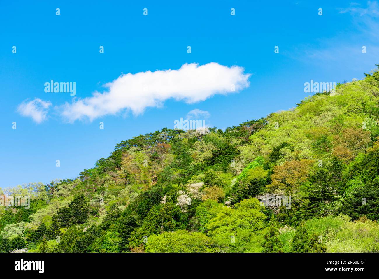 Frischer grüner Satoyama und Wolken Stockfoto