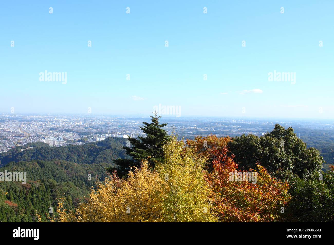 Mt. Takao im Herbst Stockfoto