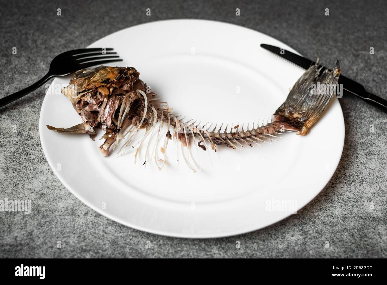 Gebratenes Fischskelett, Wirbelsäule und Knochen auf einem weißen Teller mit schwarzem Messer und Gabel auf grauem Hintergrund. Stockfoto