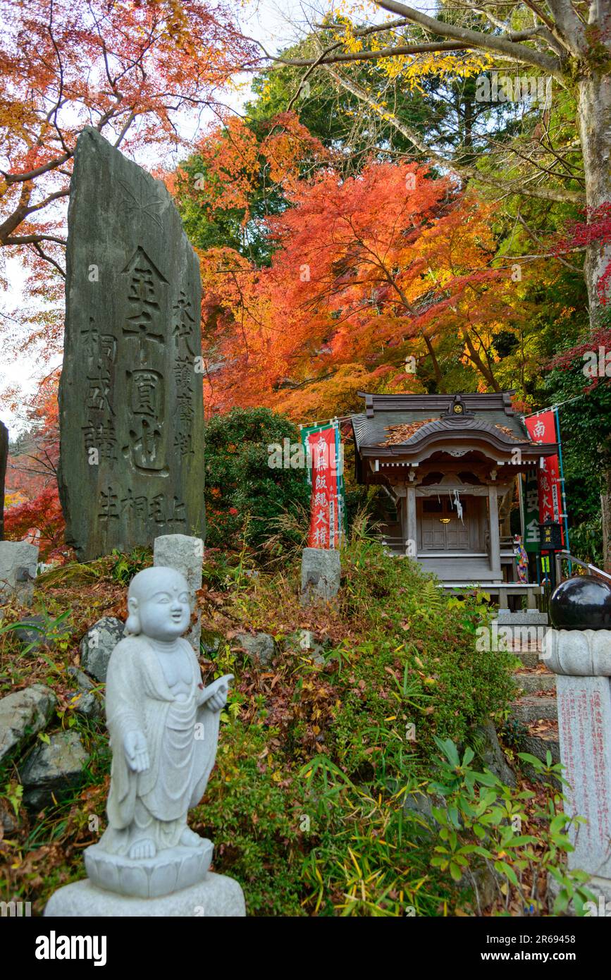 Herbstfarben des Mt. Takao Stockfoto