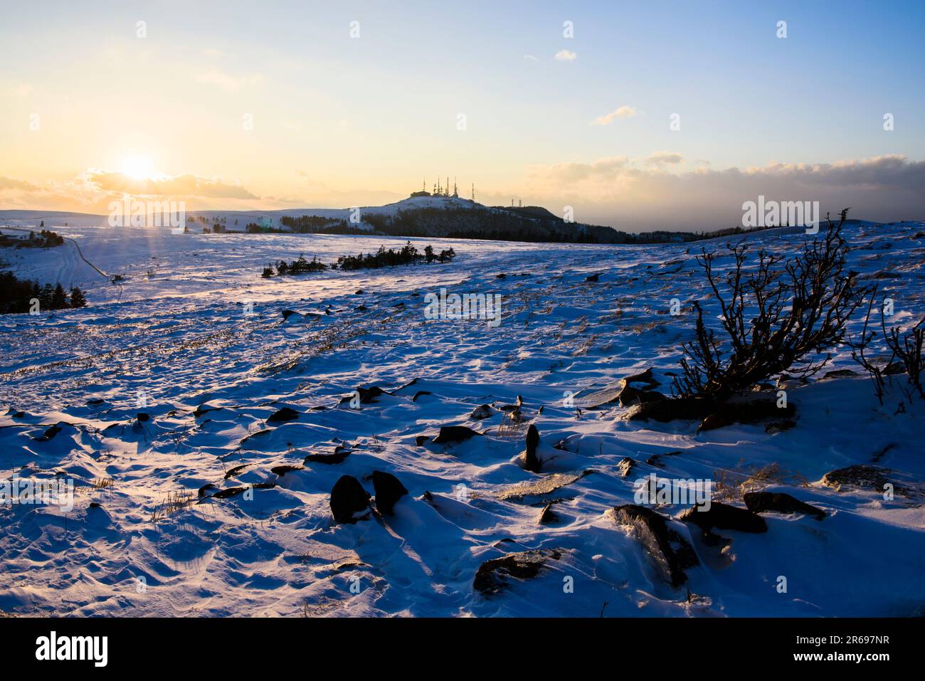 Schneefeld auf dem Utsukushigahara-Plateau Stockfoto