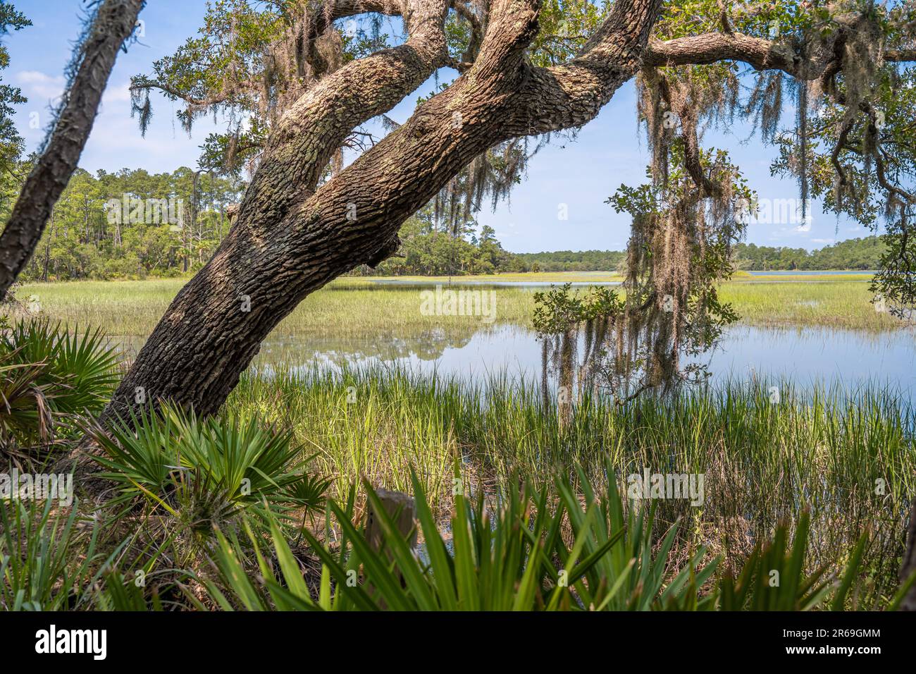 Malerischer Blick auf die Skidaway Narrows am Big Ferry Trail im Skidaway Island State Park in Savannah, Georgia. (USA) Stockfoto