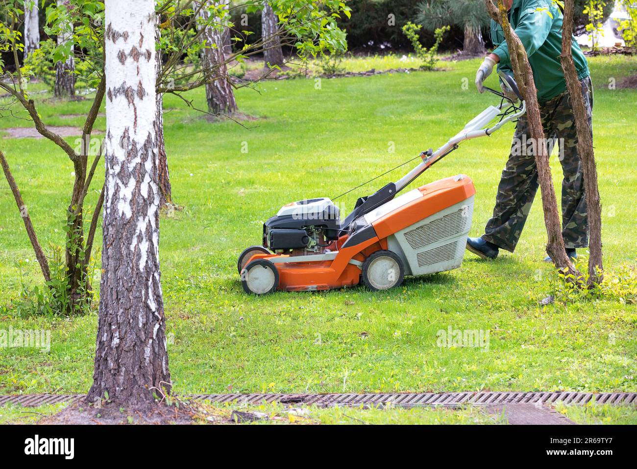 Der Gärtner mäht den Rasen und pflegt ihn mit einem benzinbetriebenen Rasenmäher im Garten in der Nähe der Bäume. Speicherplatz kopieren. Stockfoto