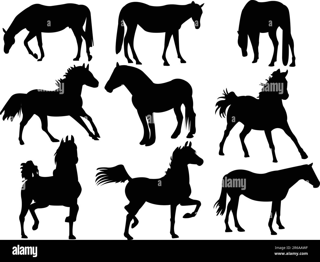 Silhouetten-Kollektion für Pferde - Vektor Stock Vektor