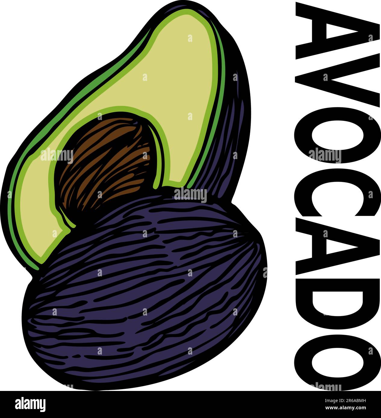 Ein Bild einer Avocado. Stock Vektor