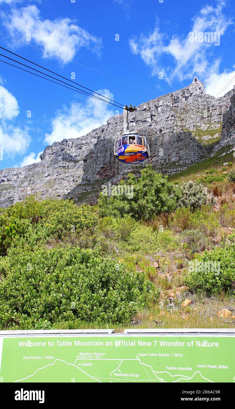 Auf dem Tafelberg, Kapstadt, S. Stockfoto