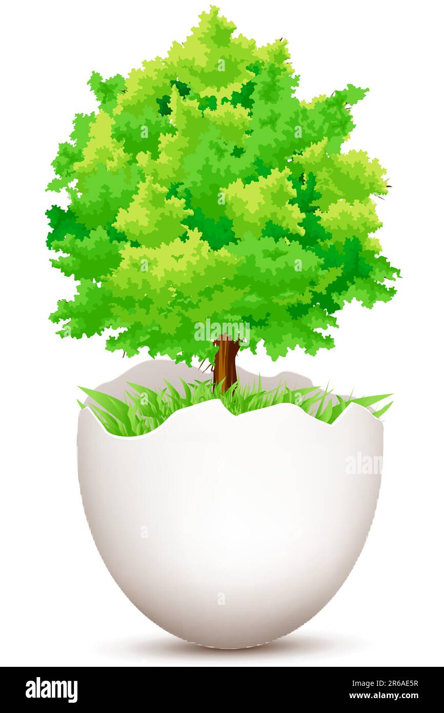 Illustration der Baum auf Ei auf weißem Hintergrund Stock Vektor