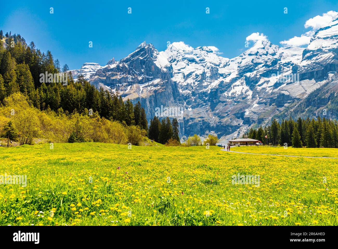 Blick auf Berge, Wiesen und Wälder rund um den See Oeschinen, die Schweizer Alpen, Schweiz Stockfoto