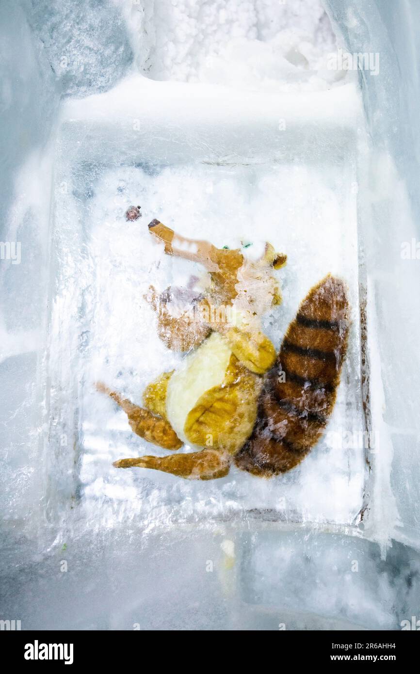 Eine Figur des Scrat-Charakters aus der Eiszeit, gefroren im Eispalast, in den Aletsch-Gletscher auf dem Gipfel des Jungfraujoch in der Schweiz gehauen Stockfoto