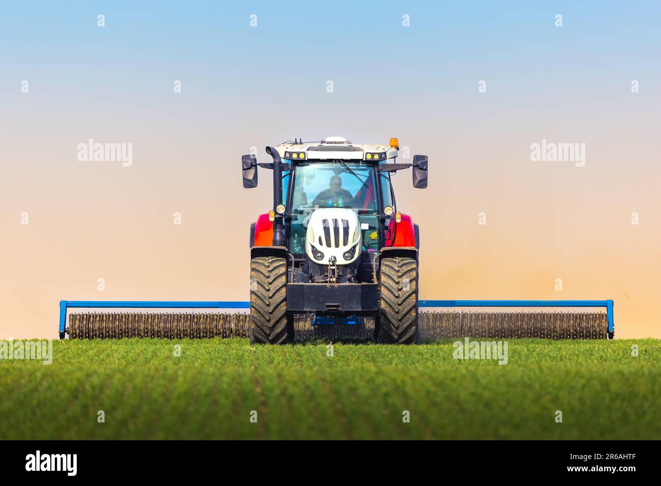 Traktor mit Rollenbearbeitung auf Federfeld. Das Walzen des Bodens unterstützt die Keimung und bildet die Grundlage für eine gute Ernte, den ökologischen Landbau und die Agrarwirtschaft Stockfoto