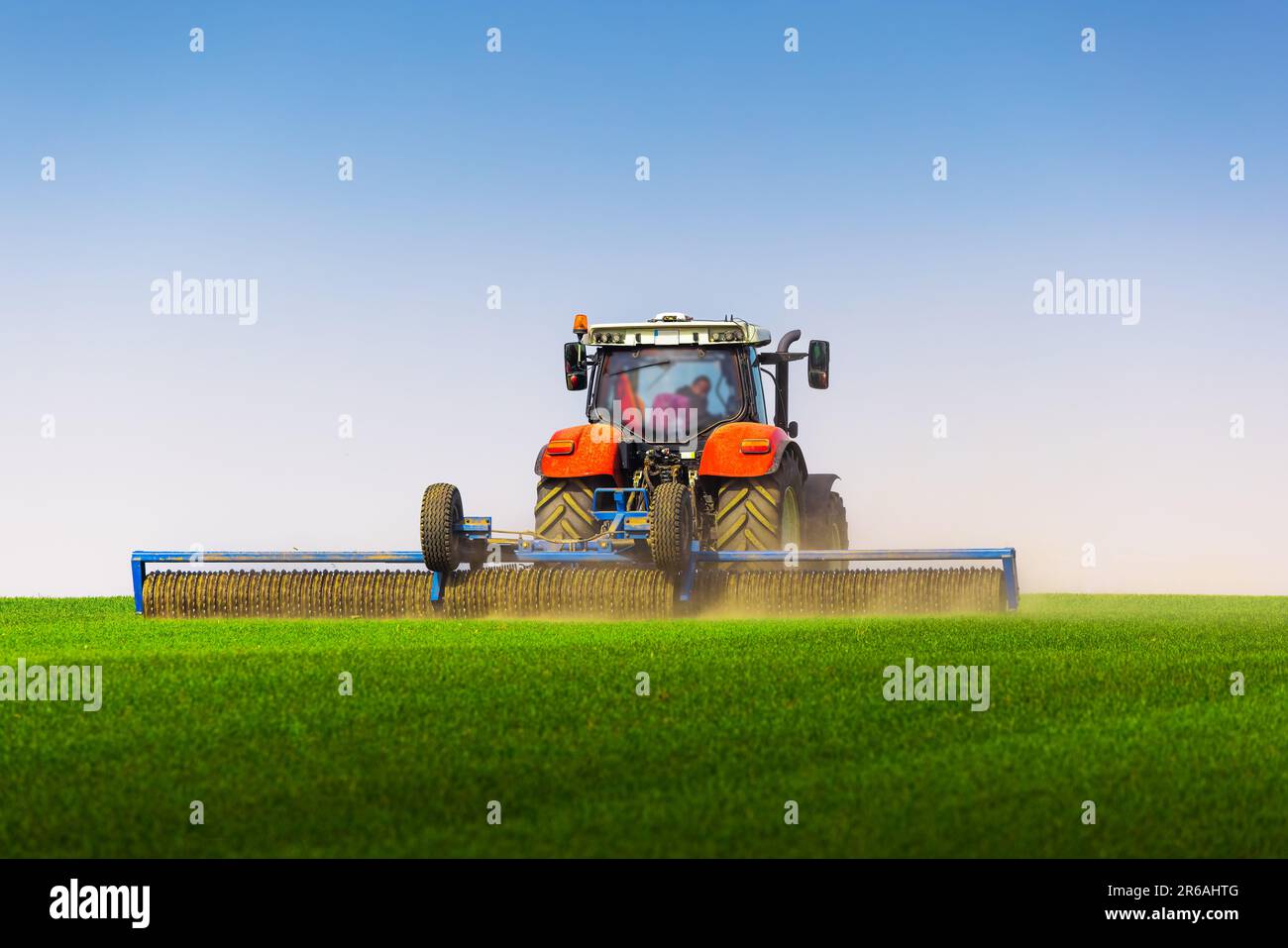 Traktor mit Rollenbearbeitung auf Federfeld. Das Walzen des Bodens unterstützt die Keimung und bildet die Grundlage für eine gute Ernte, den ökologischen Landbau und die Agrarwirtschaft Stockfoto