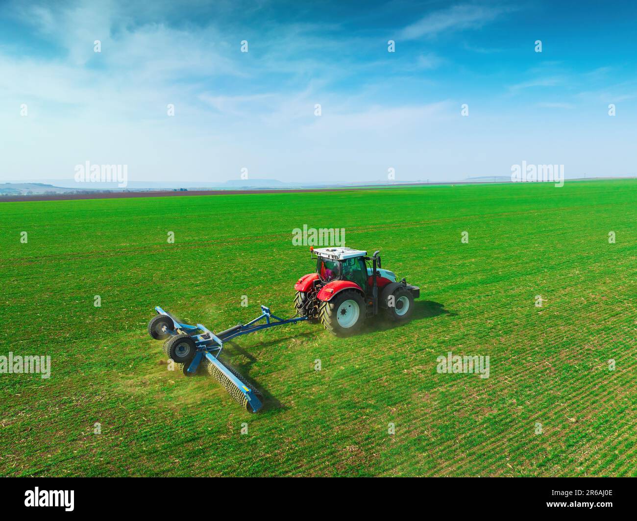 Traktor mit Rollenbearbeitung auf Federfeld. Die Luftaufnahme des Walzens unterstützt die Keimung und bildet die Grundlage für eine gute Ernte und den ökologischen Landbau Stockfoto