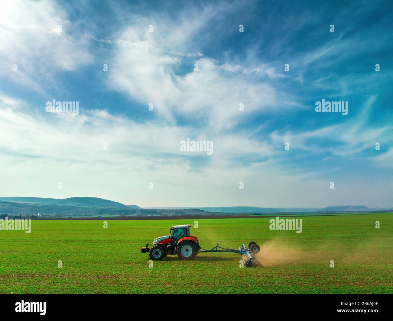 Traktor mit Rollenbearbeitung auf Federfeld. Die Luftaufnahme des Walzens unterstützt die Keimung und bildet die Grundlage für eine gute Ernte und den ökologischen Landbau Stockfoto