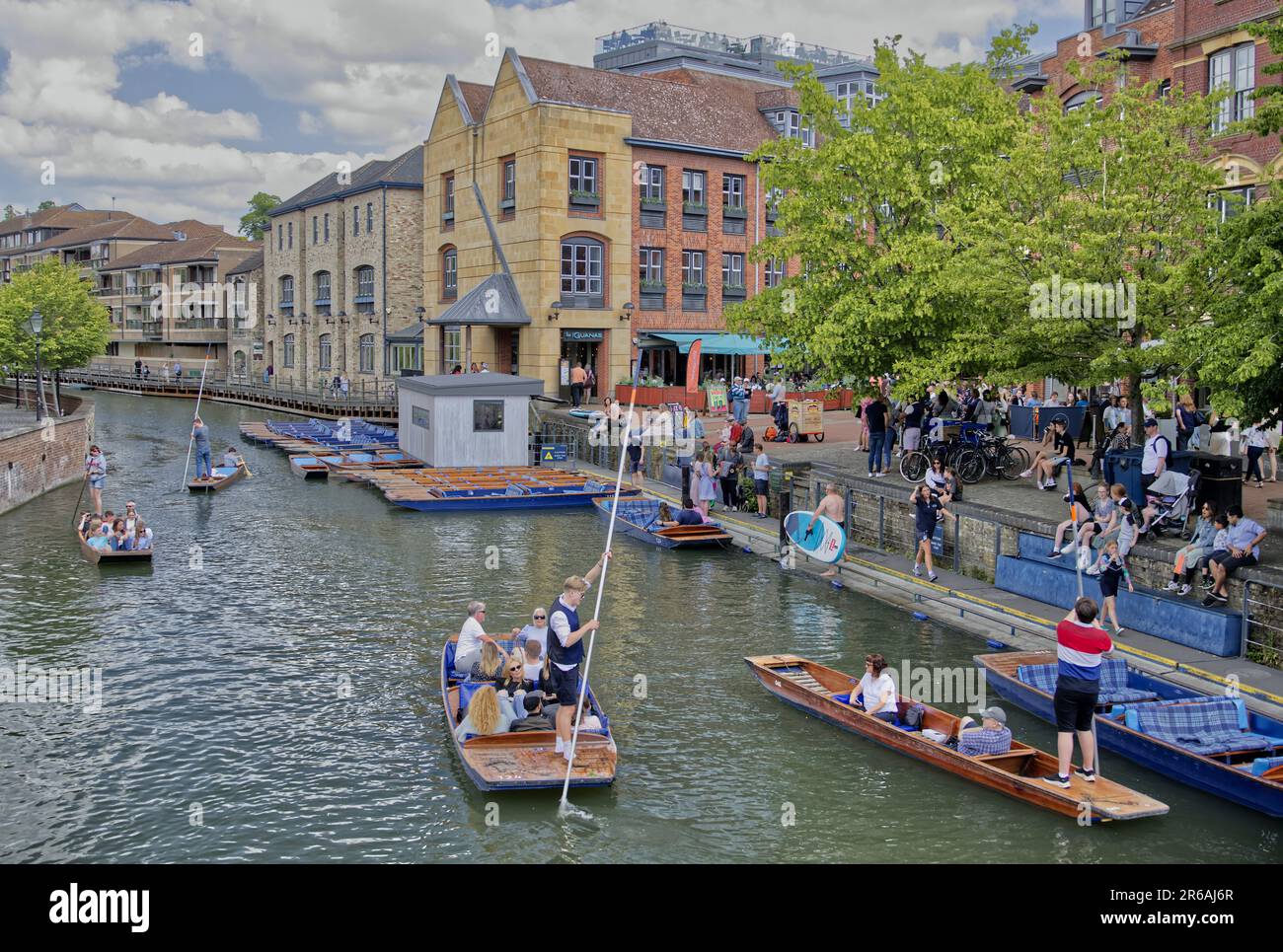 Kahnfahrten auf der River Cam in Cambridge, England, Großbritannien Stockfoto