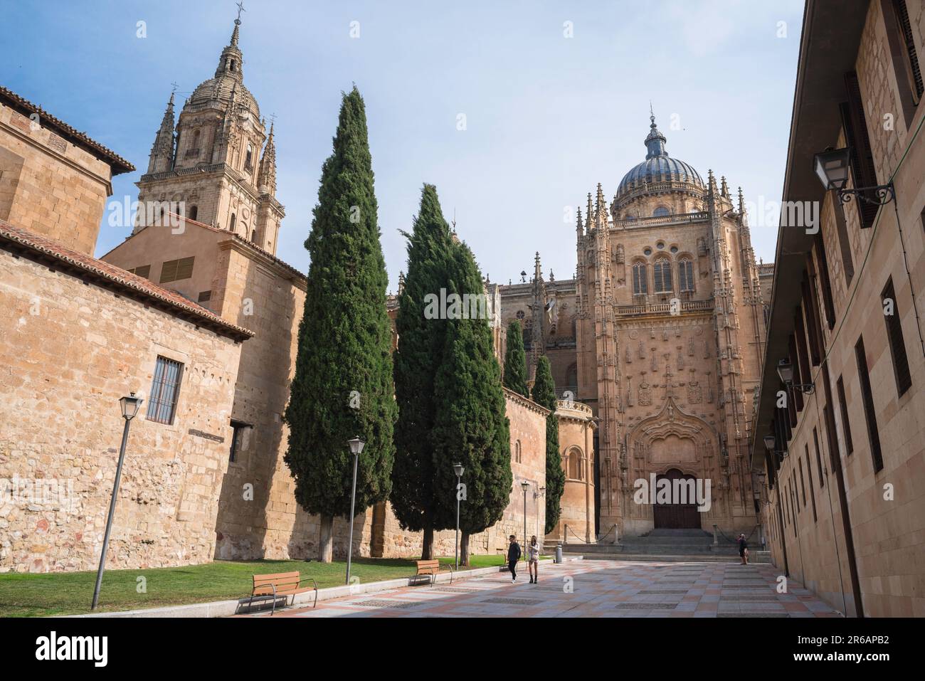 Salamanca Kathedrale, Blick auf die Südseite der Catedral Nueva mit den Gebäuden des Claustro de la Catedral auf der linken Seite, Salamanca Spanien Stockfoto