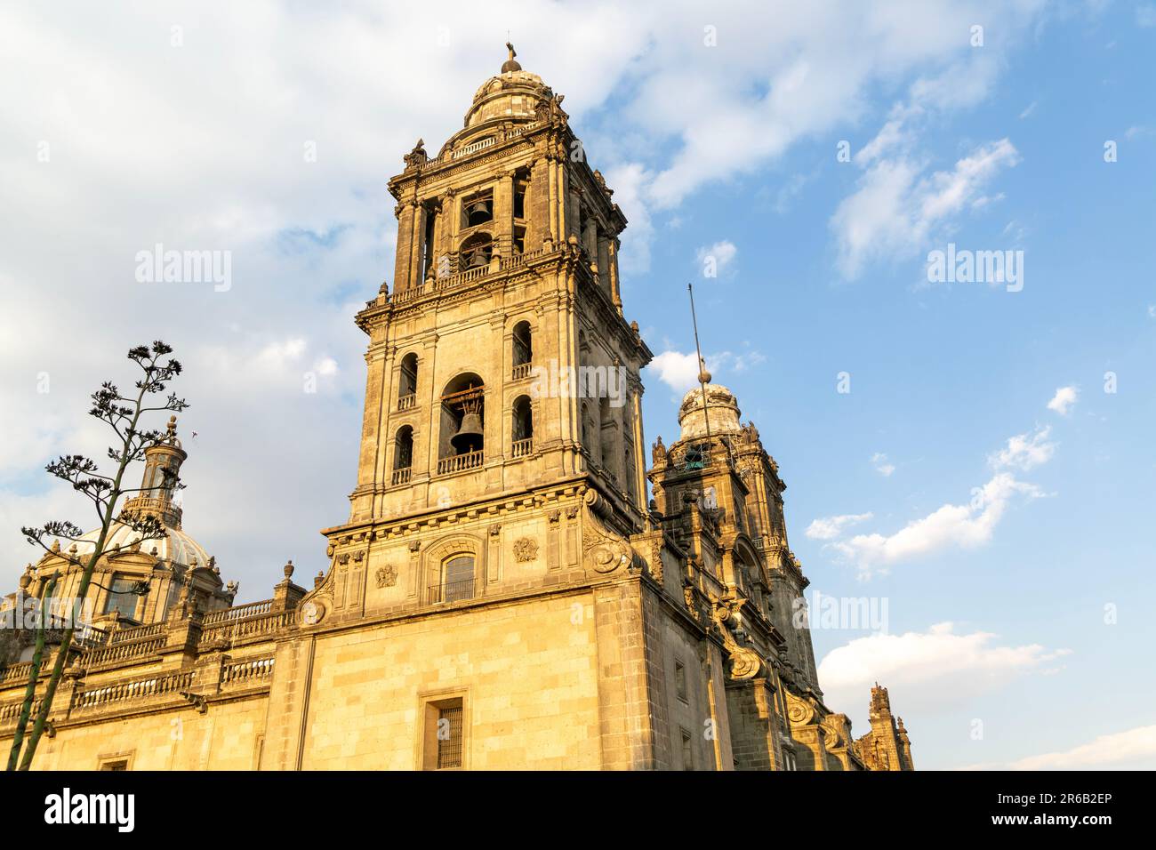 Kathedrale, Kathedrale Metropolitana, Centro Historic, Mexico City, Mexiko Stockfoto