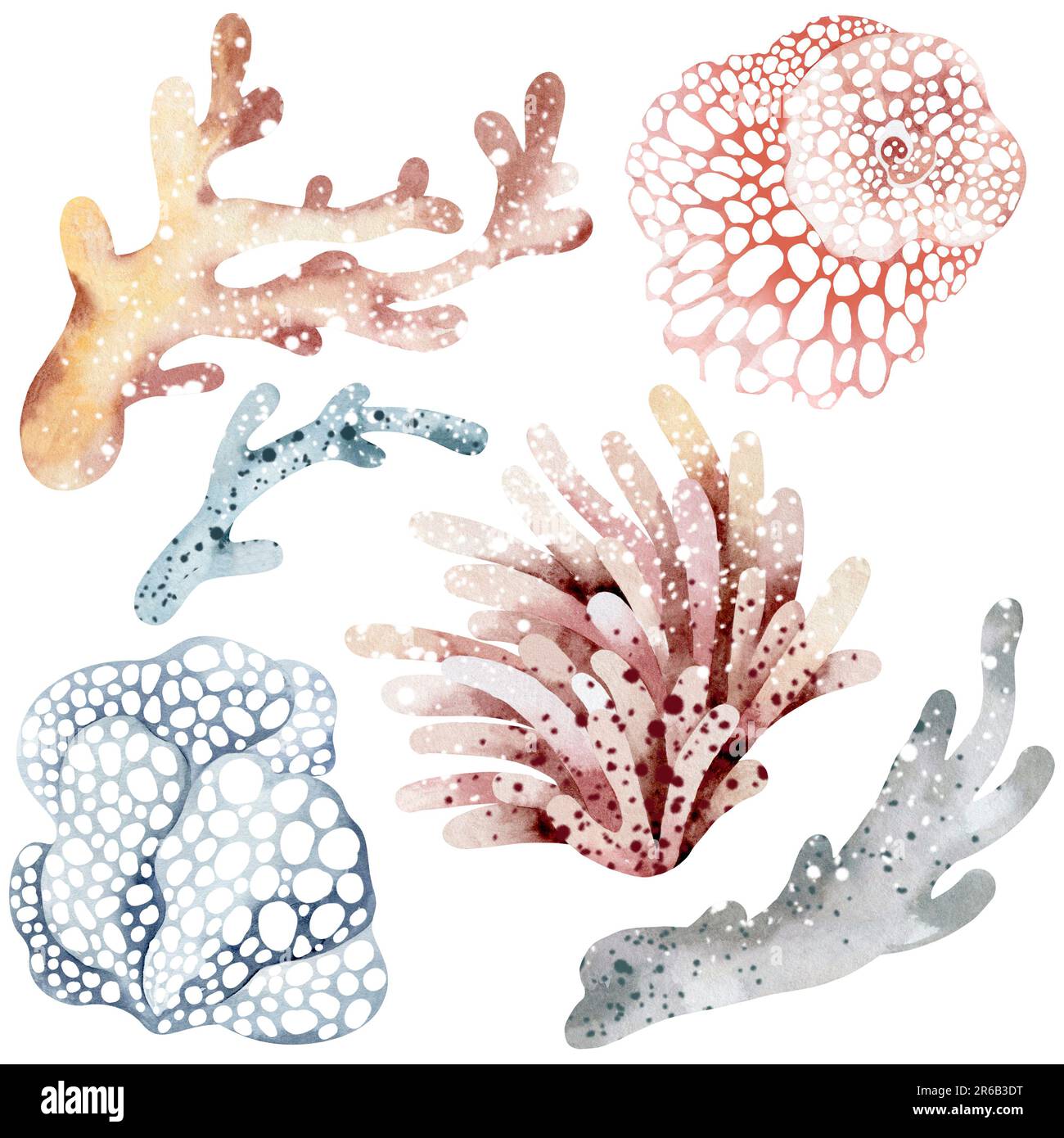 Aquarell-Darstellung von Unterwasserkorallen. Meeres-Unterwasserpflanzen. Abbildung isoliert auf weißem Hintergrund. Postkarte, Aufkleber Stockfoto