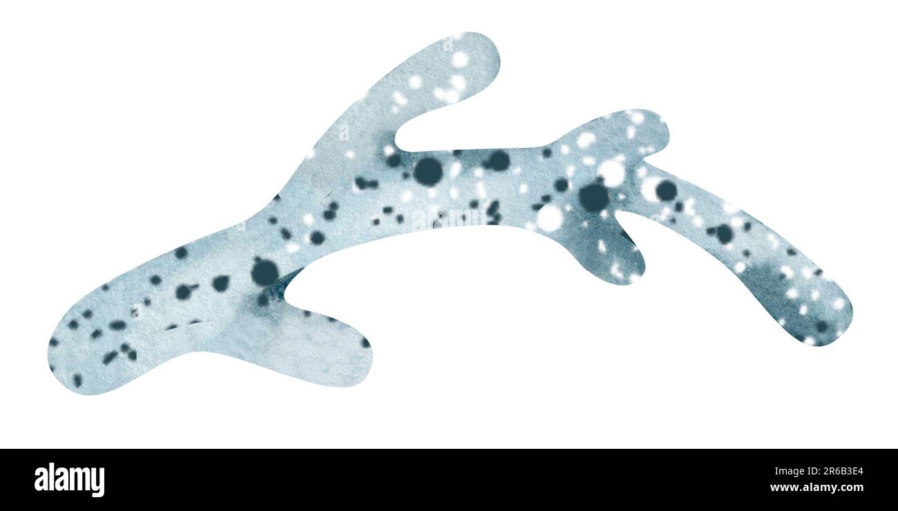 Aquarell-Darstellung von Unterwasserkorallen. Meeres-Unterwasserpflanzen. Abbildung isoliert auf weißem Hintergrund. Postkarte, Aufkleber Stockfoto