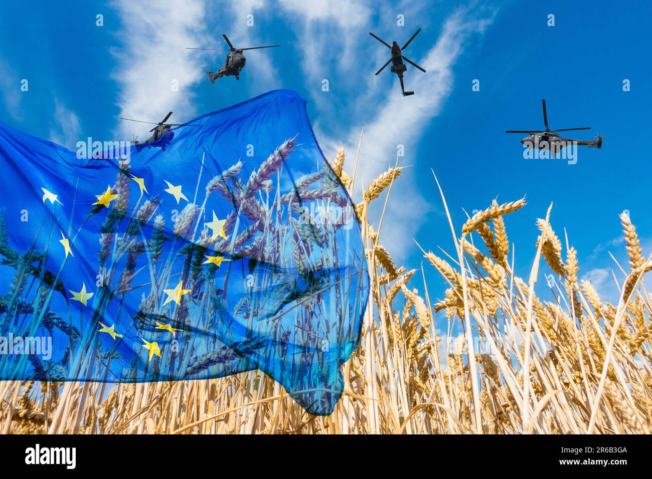EU- und EU-Flagge über Weizenfeldern mit ukrainischer Flagge und Hubschraubern. Ukraine, Krieg gegen Russland, weltweite Nahrungsmittelpreise, Weizenpreise, EU-Verbot... Konzept Stockfoto
