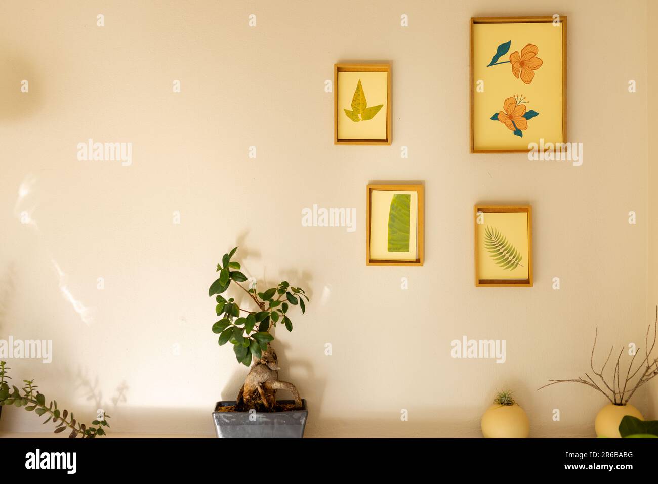 Gerahmte Naturbilder an der Wand mit Pflanzen im hellen Raum Stockfoto
