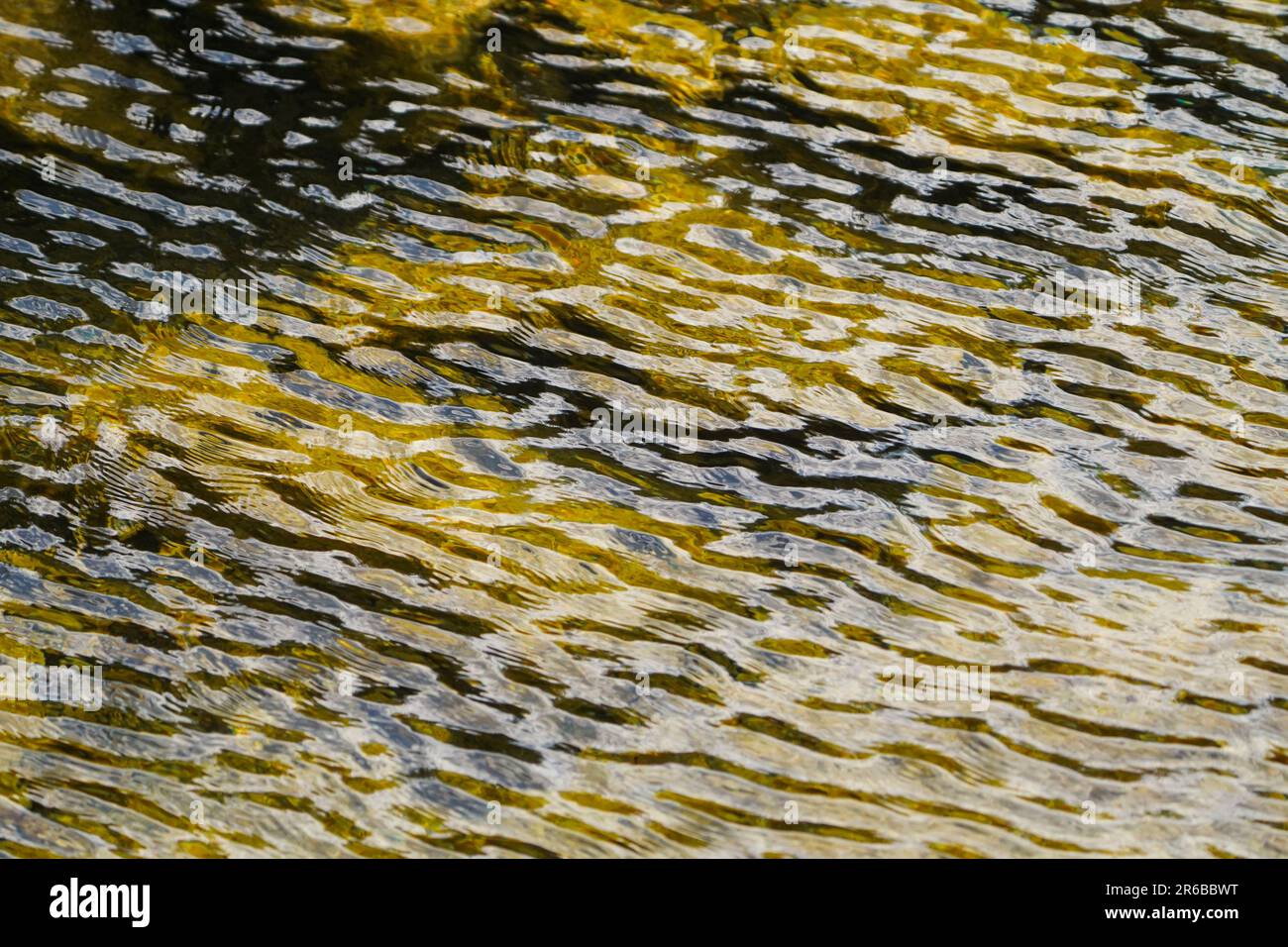 Nahaufnahme eines sauberen Wasserstroms mit Wasserspiegelung mit natürlichem Muster. Stockfoto