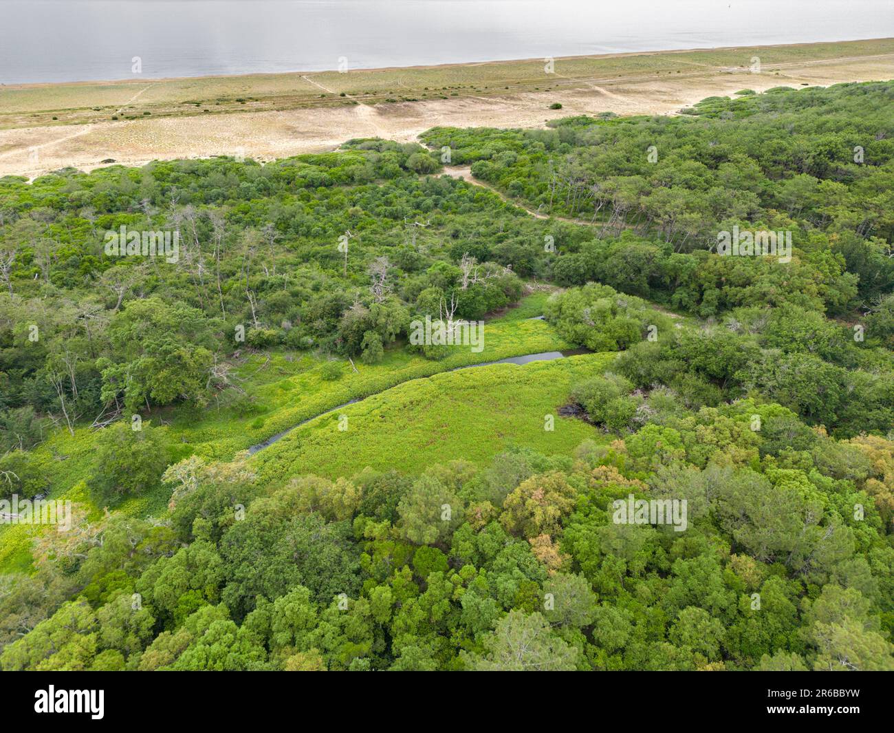 Der natürliche Standort der U-Bahn befindet sich im Süden des Landes Departements. Es besteht aus Dünen, Waldgegenden, gemischten Wäldern und Feuchtgebieten. Stockfoto