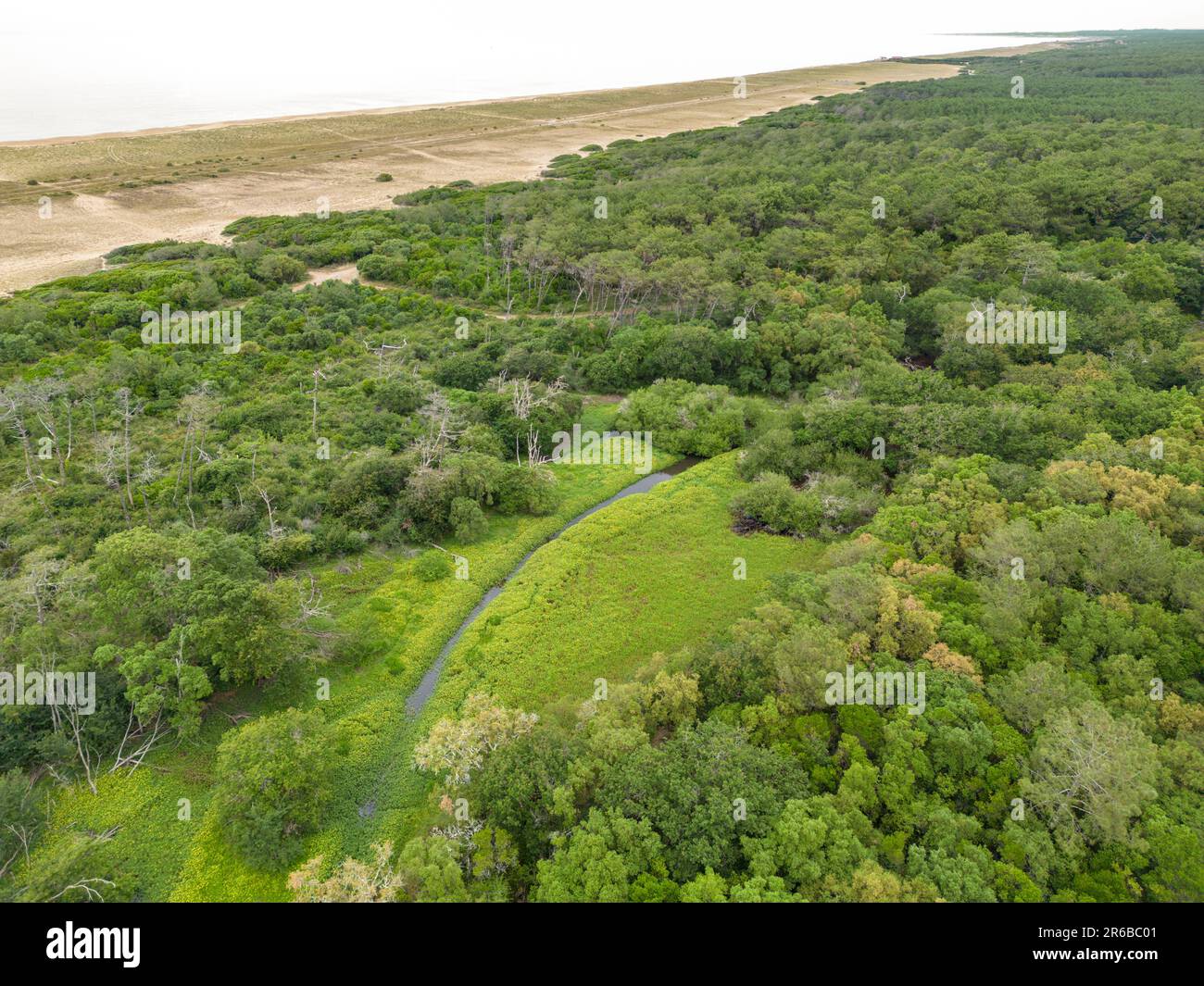 Der natürliche Standort der U-Bahn befindet sich im Süden des Landes Departements. Es besteht aus Dünen, Waldgegenden, gemischten Wäldern und Feuchtgebieten. Stockfoto