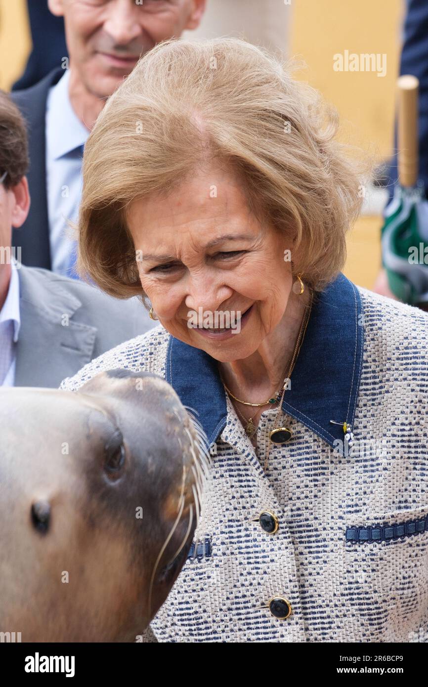Madrid, Spanien. 08. Juni 2023. Königin Sofia von Spanien während ihres Besuchs im Zoo Aquarium in Madrid. Die Queen Sofia Foundation und das Madrid Zoo Aquarium arbeiten zusammen, um das Bewusstsein für die Erhaltung der marinen Biodiversität zu schärfen. Kredit: SOPA Images Limited/Alamy Live News Stockfoto