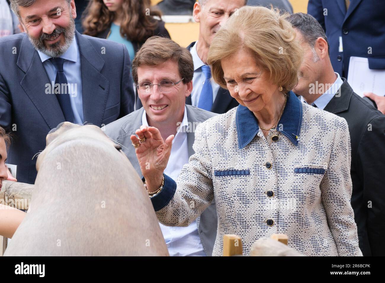 Madrid, Spanien. 08. Juni 2023. Königin Sofia von Spanien während ihres Besuchs im Zoo Aquarium in Madrid. Die Queen Sofia Foundation und das Madrid Zoo Aquarium arbeiten zusammen, um das Bewusstsein für die Erhaltung der marinen Biodiversität zu schärfen. Kredit: SOPA Images Limited/Alamy Live News Stockfoto