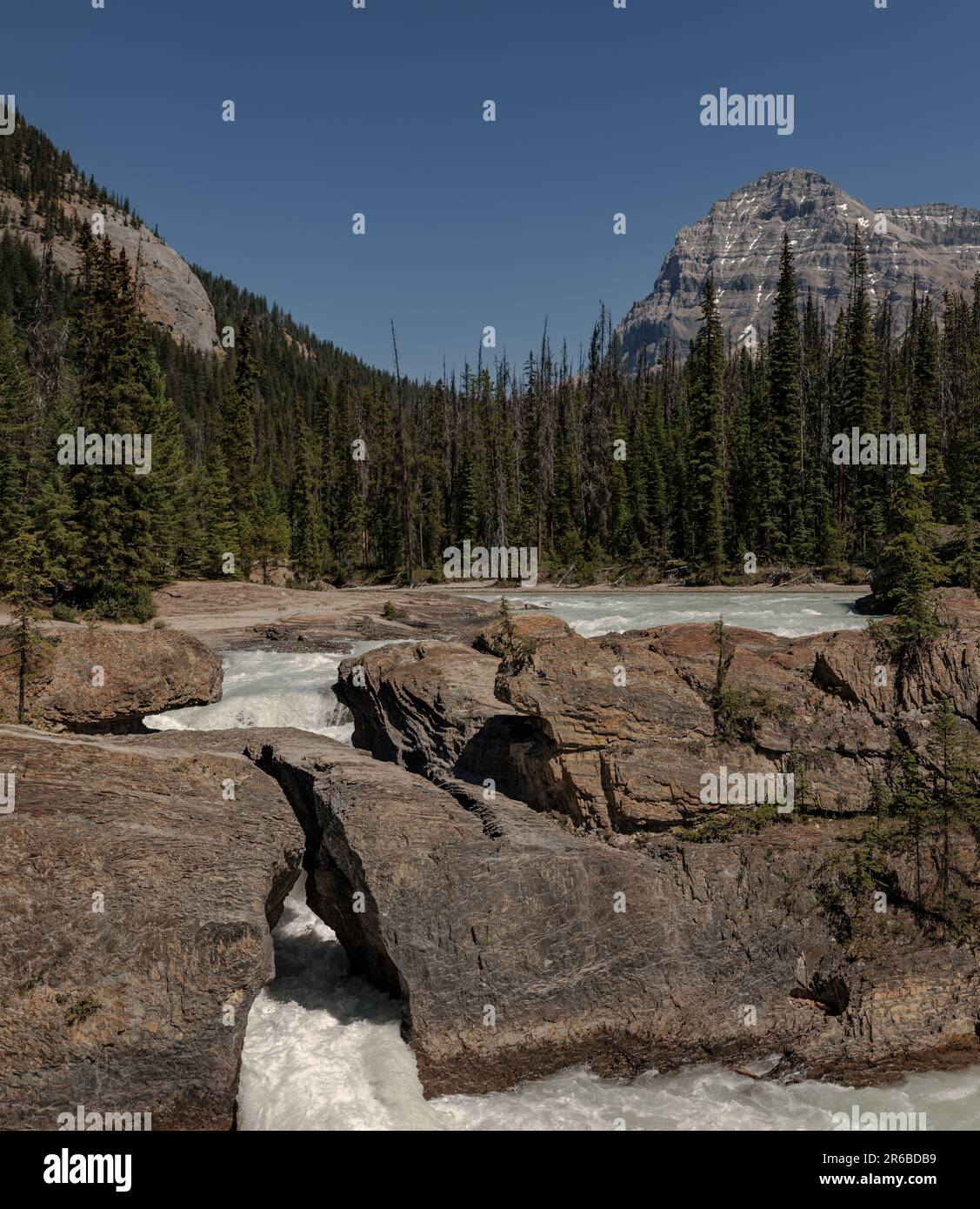 Der Kicking Horse River im Yoho-Nationalpark, British Columbia, Kanada. Stockfoto