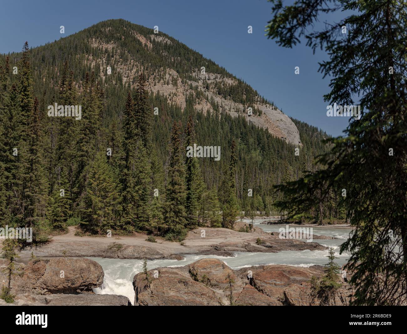 Der Kicking Horse River im Yoho-Nationalpark, British Columbia, Kanada. Stockfoto