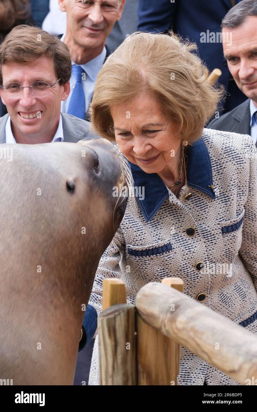 Königin Sofia von Spanien während ihres Besuchs im Zoo Aquarium in Madrid. Die Queen Sofia Foundation und das Madrid Zoo Aquarium arbeiten zusammen, um das Bewusstsein für die Erhaltung der biologischen Vielfalt der Meere zu schärfen (Foto von Atilano Garcia / SOPA Images/Sipa USA) Stockfoto