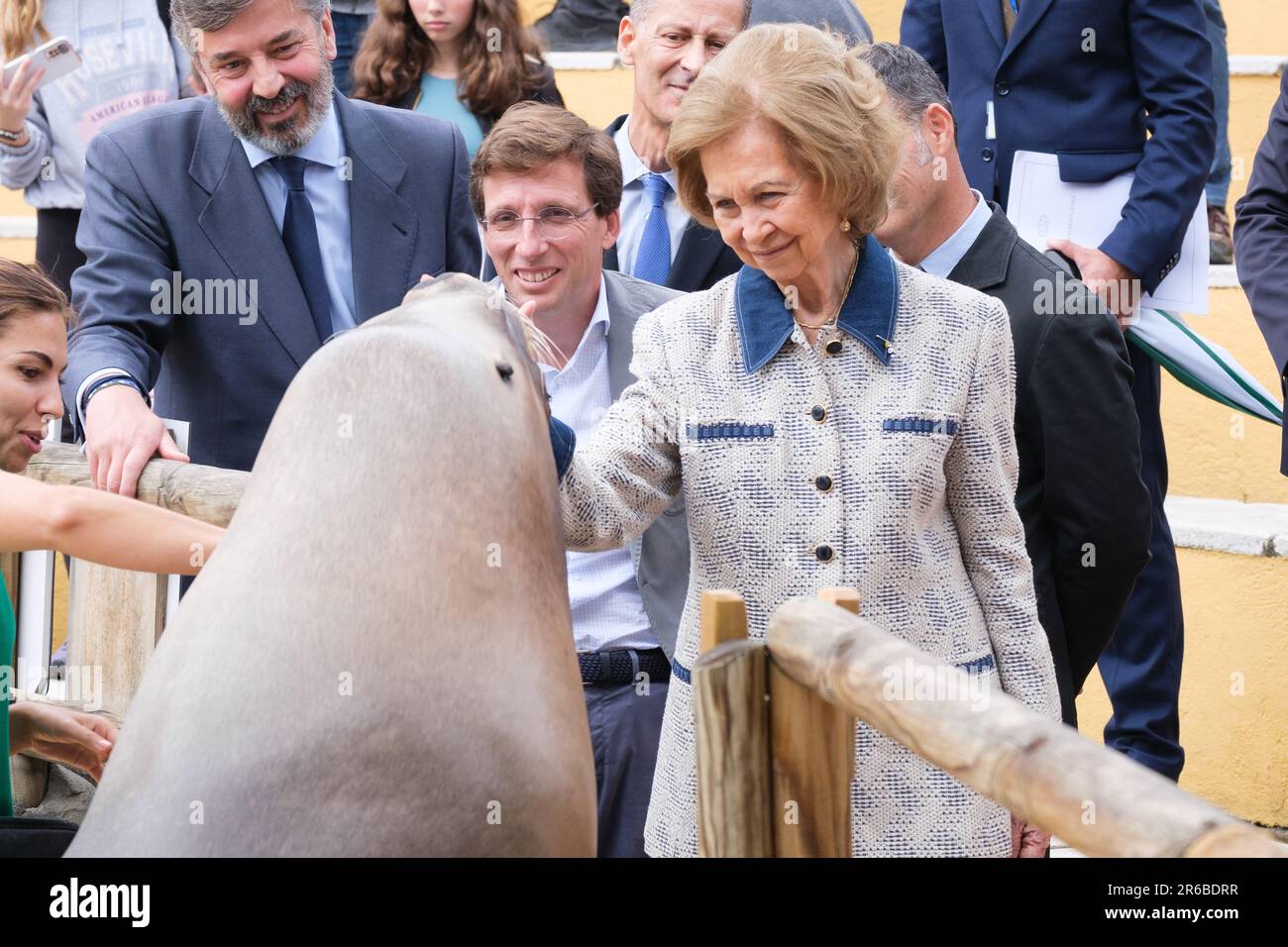 Königin Sofia von Spanien während ihres Besuchs im Zoo Aquarium in Madrid. Die Queen Sofia Foundation und das Madrid Zoo Aquarium arbeiten zusammen, um das Bewusstsein für die Erhaltung der biologischen Vielfalt der Meere zu schärfen (Foto von Atilano Garcia / SOPA Images/Sipa USA) Stockfoto